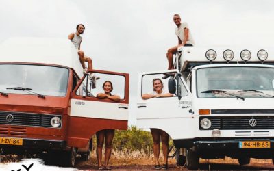 Songbirds – twee echtparen, twee VW-bussen, en een goed plan