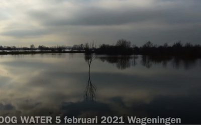Hoog water bij Wageningen