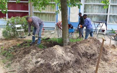 Plantgoed voor De Kleine Wereld